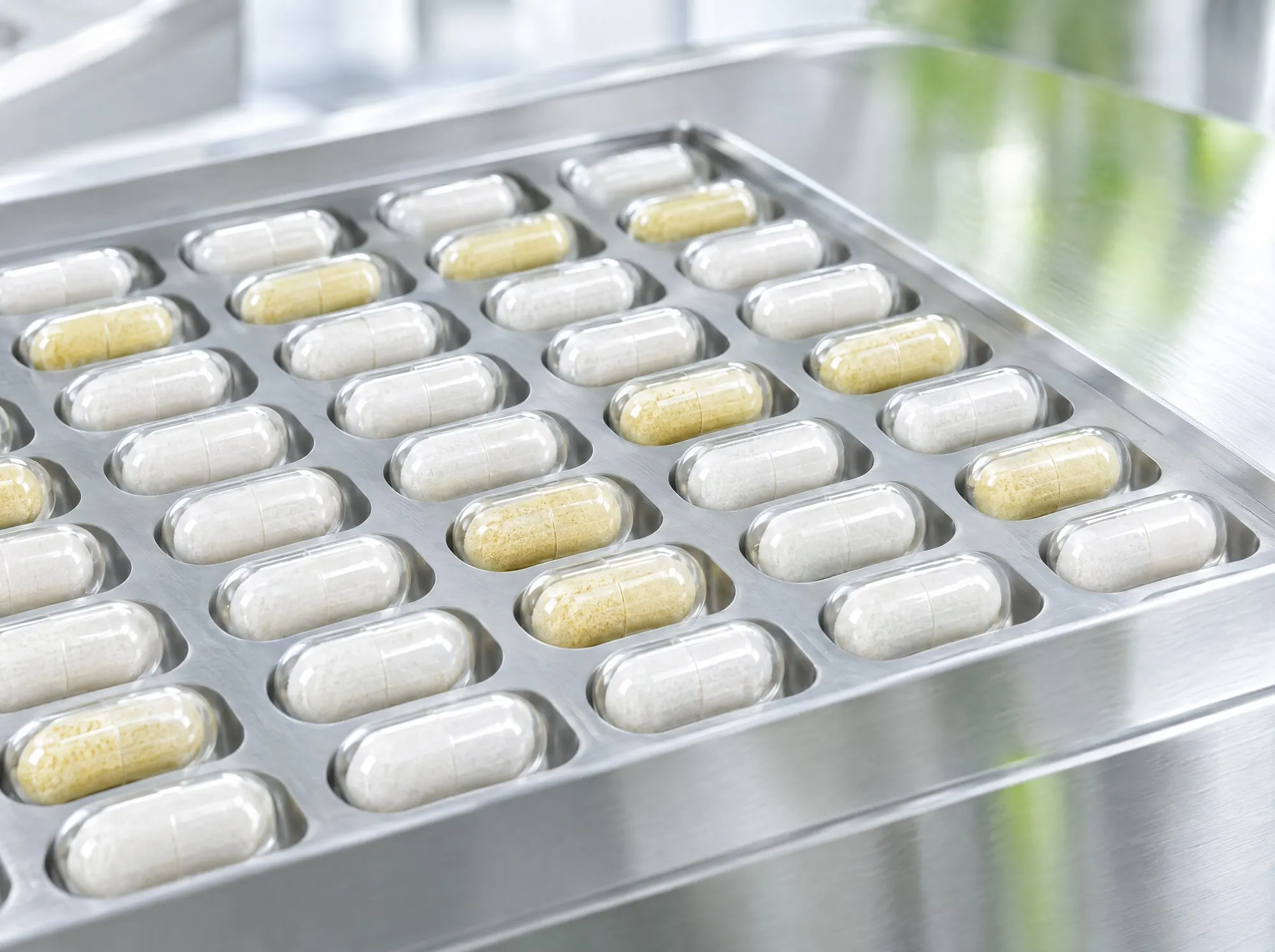 Rows of clear capsules filled with white and pale yellow powder in a steel filling tray